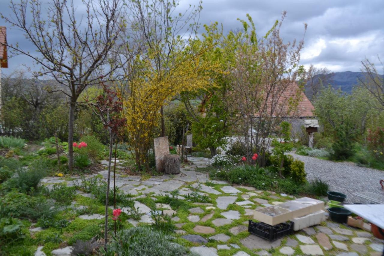 Petit En Montagne * Saint-Julien-en-Champsaur